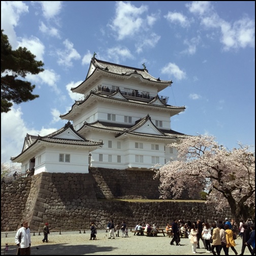 フリー　小田原城と桜の画像