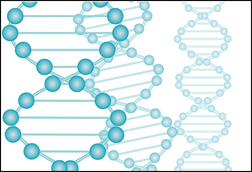 DNAの画像