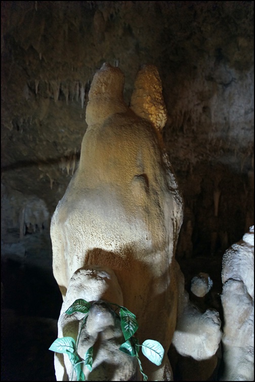 石垣島鍾乳洞の画像