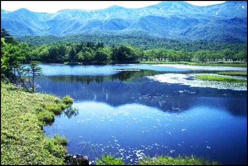 知床五湖の画像