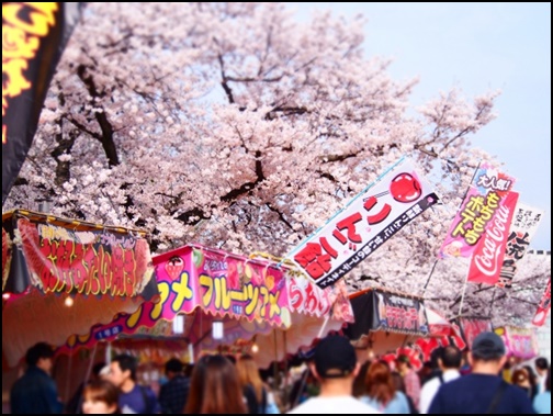 桜の満開時に屋台と観光客の画像