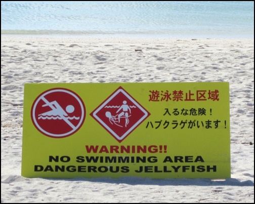 遊泳禁止の画像