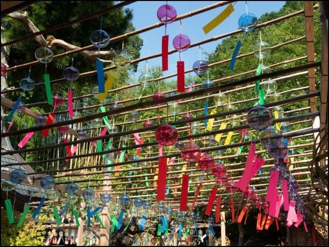 正寿院の風鈴祭りの画像