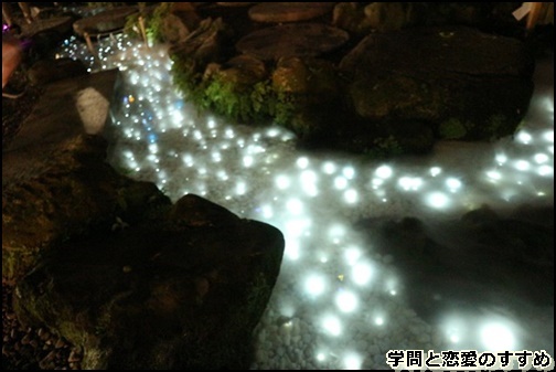 川越氷川神社の光る川の画像
